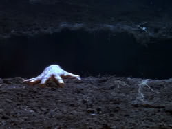 extant_XenaWarriorPrincess_1x08-Prometheus_01279