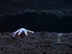 extant_XenaWarriorPrincess_1x08-Prometheus_01280
