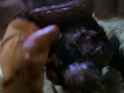 extant_XenaWarriorPrincess_1x08-Prometheus_01887