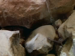 extant_XenaWarriorPrincess_1x08-Prometheus_02805