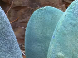 extant_XenaWarriorPrincess_1x08-Prometheus_03056