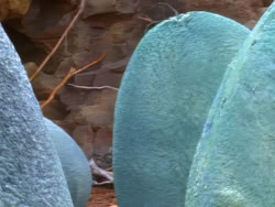 extant_XenaWarriorPrincess_1x08-Prometheus_03057