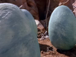 extant_XenaWarriorPrincess_1x08-Prometheus_03073
