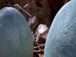 extant_XenaWarriorPrincess_1x08-Prometheus_03082