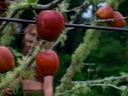extant_XenaWarriorPrincess_1x09_DeathInChains_0293