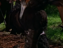 extant_XenaWarriorPrincess_1x09_DeathInChains_0360