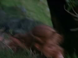 extant_XenaWarriorPrincess_1x09_DeathInChains_0477