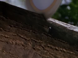 extant_XenaWarriorPrincess_1x09_DeathInChains_1124