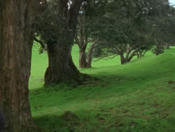 extant_XenaWarriorPrincess_1x09_DeathInChains_1145
