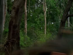 extant_XenaWarriorPrincess_1x09_DeathInChains_1329