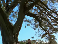 extant_XenaWarriorPrincess_1x09_DeathInChains_1492