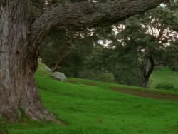 extant_XenaWarriorPrincess_1x09_DeathInChains_1547