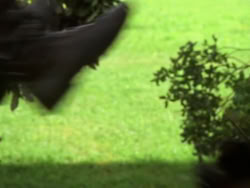 extant_XenaWarriorPrincess_1x09_DeathInChains_1577