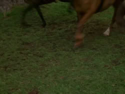 extant_XenaWarriorPrincess_1x09_DeathInChains_1579