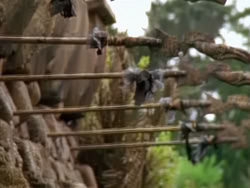 extant_XenaWarriorPrincess_1x09_DeathInChains_1623