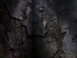 extant_XenaWarriorPrincess_1x09_DeathInChains_2061