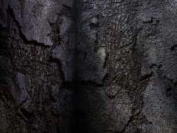 extant_XenaWarriorPrincess_1x09_DeathInChains_2062