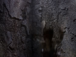 extant_XenaWarriorPrincess_1x09_DeathInChains_2064