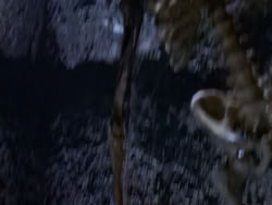 extant_XenaWarriorPrincess_1x09_DeathInChains_2086