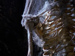 extant_XenaWarriorPrincess_1x09_DeathInChains_2106