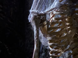 extant_XenaWarriorPrincess_1x09_DeathInChains_2107