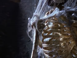 extant_XenaWarriorPrincess_1x09_DeathInChains_2109