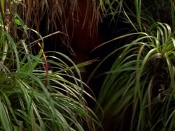 extant_XenaWarriorPrincess_1x09_DeathInChains_2149