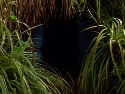 extant_XenaWarriorPrincess_1x09_DeathInChains_2150
