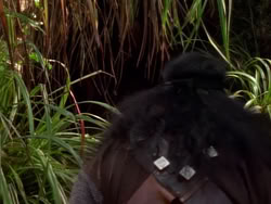 extant_XenaWarriorPrincess_1x09_DeathInChains_2176