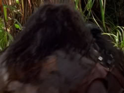 extant_XenaWarriorPrincess_1x09_DeathInChains_2177