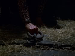 extant_XenaWarriorPrincess_1x09_DeathInChains_2397
