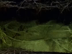 extant_XenaWarriorPrincess_1x09_DeathInChains_2402