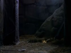 extant_XenaWarriorPrincess_1x09_DeathInChains_2416