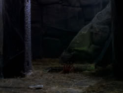 extant_XenaWarriorPrincess_1x09_DeathInChains_2421