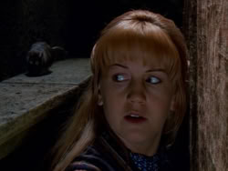 extant_XenaWarriorPrincess_1x09_DeathInChains_2460