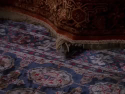 extant_XenaWarriorPrincess_1x09_DeathInChains_2501