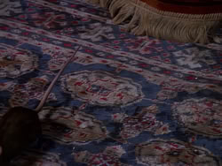 extant_XenaWarriorPrincess_1x09_DeathInChains_2506