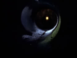 extant_XenaWarriorPrincess_1x09_DeathInChains_2533