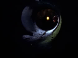 extant_XenaWarriorPrincess_1x09_DeathInChains_2535