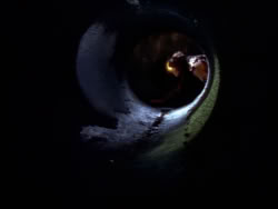extant_XenaWarriorPrincess_1x09_DeathInChains_2536