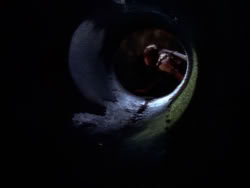 extant_XenaWarriorPrincess_1x09_DeathInChains_2537