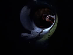 extant_XenaWarriorPrincess_1x09_DeathInChains_2539