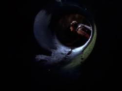 extant_XenaWarriorPrincess_1x09_DeathInChains_2540