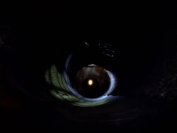 extant_XenaWarriorPrincess_1x09_DeathInChains_2543