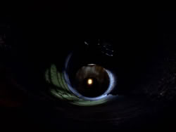 extant_XenaWarriorPrincess_1x09_DeathInChains_2545