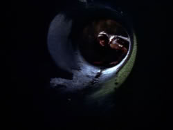 extant_XenaWarriorPrincess_1x09_DeathInChains_2548