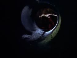 extant_XenaWarriorPrincess_1x09_DeathInChains_2550