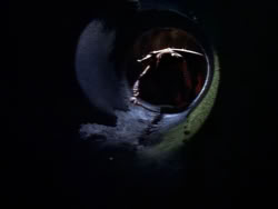 extant_XenaWarriorPrincess_1x09_DeathInChains_2551