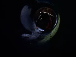 extant_XenaWarriorPrincess_1x09_DeathInChains_2552