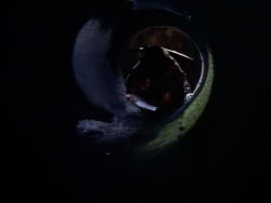 extant_XenaWarriorPrincess_1x09_DeathInChains_2553